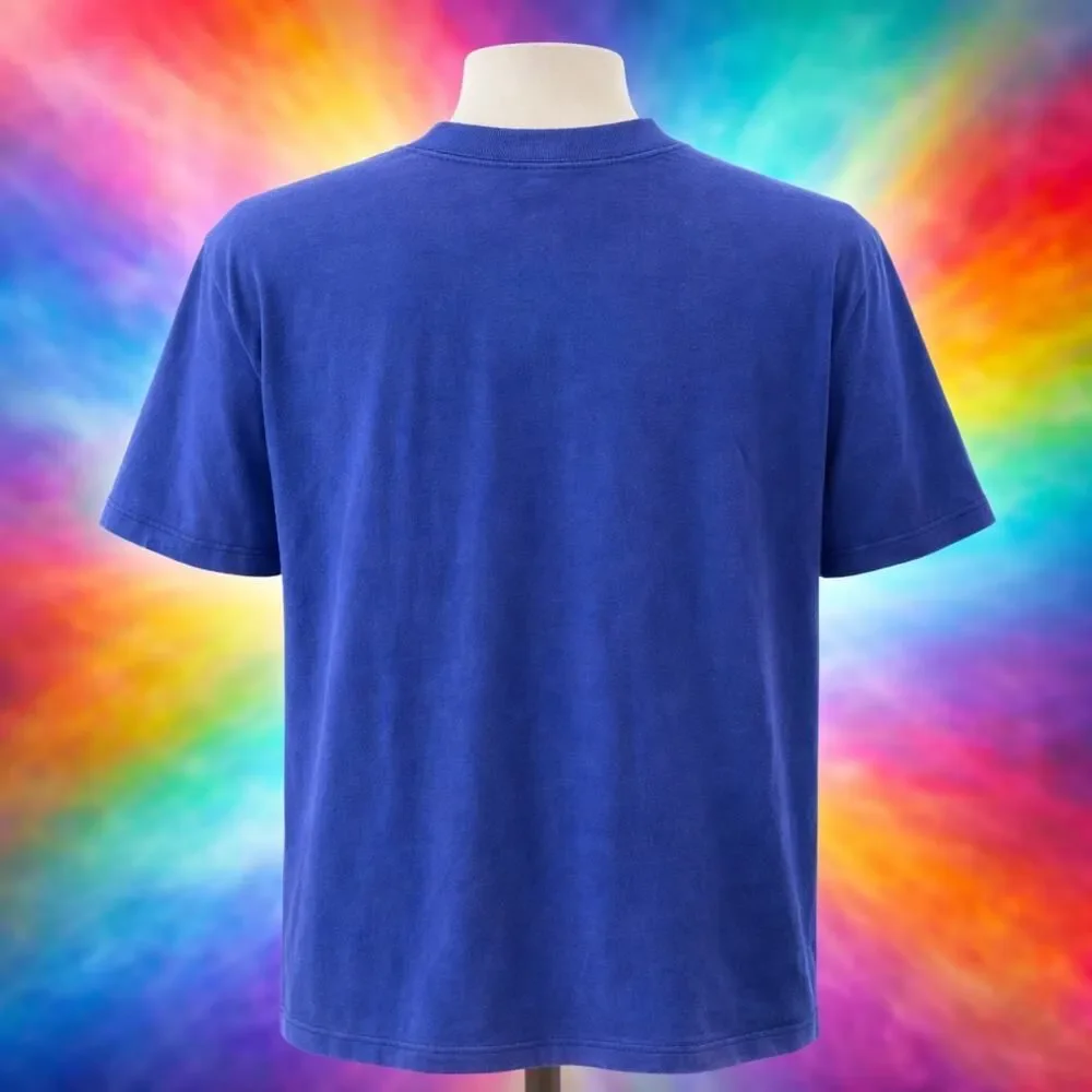 VTG Planet Hollywood Washington DC Flag Blue Shirt L